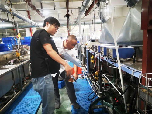規范廠中廠，服務小微園 樂清翁垟街道多措并舉繃緊企業生產安全弦